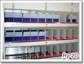 Ry-20